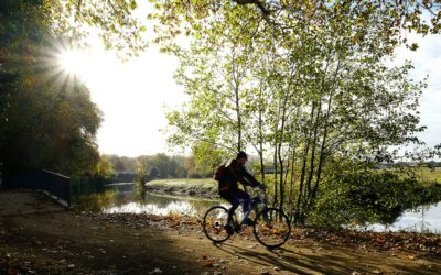 I Mulini e il Fiume Olona: un bike tour tra storia e natura