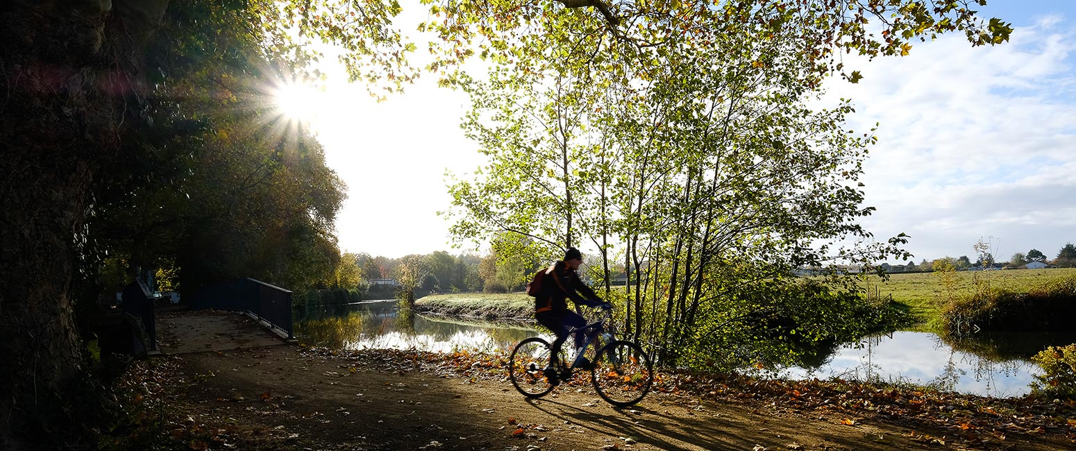 Immagine del fiume olona con ciclista che fa il percorso, a rho