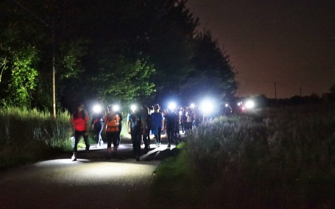 Ascoltando la natura: passeggiata notturna nel Parco del Ticino