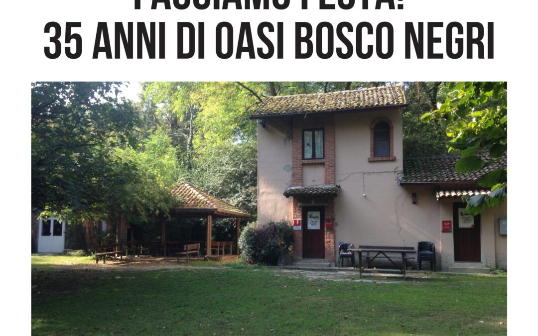 Let’s Party! 35 Years of Bosco Negri Oasis