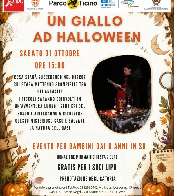 Un giallo ad Halloween