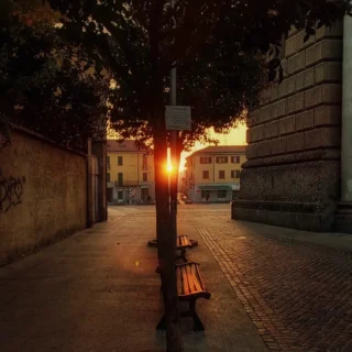 The birth of a new day in San Vittore Square
La nascita di un nuovo giorno in Piazza San Vittore

Foto 📸 di @danese.anto63 

#dawn #dawnphotography #alba #newday #sundaymotivation #sunnyday #springday #springvibes #spring2025 #bestpic #bestphoto #travel #travelphotography #beautiful #beautifuldestionations #bellarho #visitrho #lombardy #inlombardia #in_lombardia