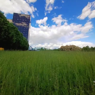Rho: the combination of Green and Modernity
Rho: binomio di Verde e Modernità

Foto 📸 di @danese.anto63 

#green #modernity #verde #modernità #architecturephoto #dominiqueperraultarchitecture #dominiqueperrault #torrioblique #futuristic #futuristicarchitecture #bluesky #summersky #summervibes #visitrho #bellarho #rhofiera #inlombardia #in_lombardia #lombardy